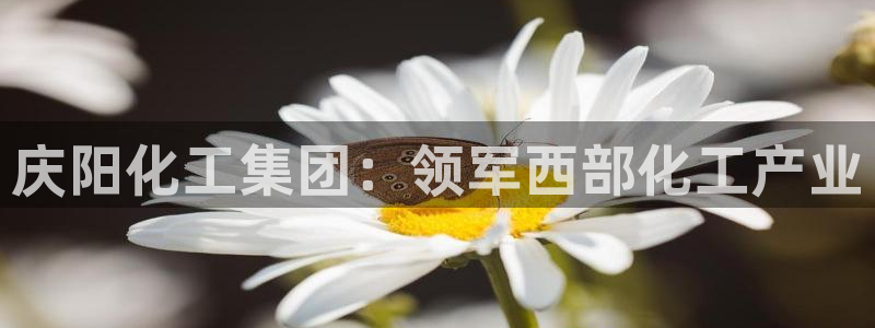 球盟会在线登录