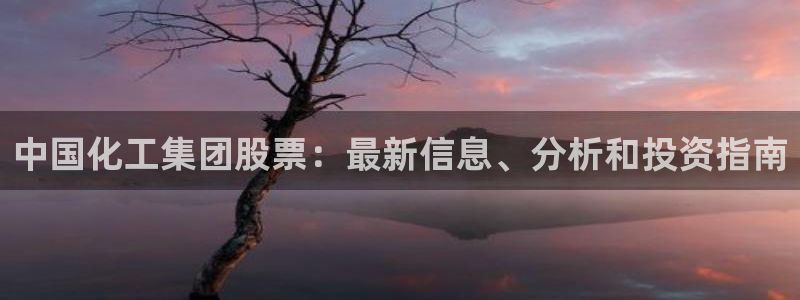 球盟会国际官网