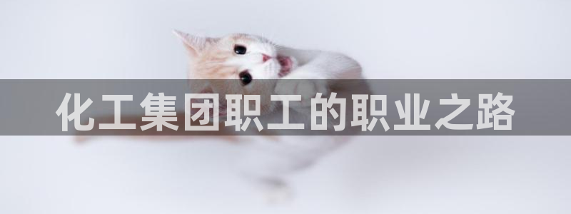 球盟会APP最新地址
