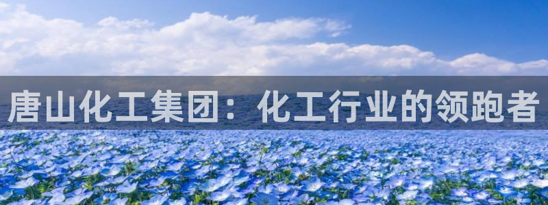 球盟会qmh - 球盟会官方网站