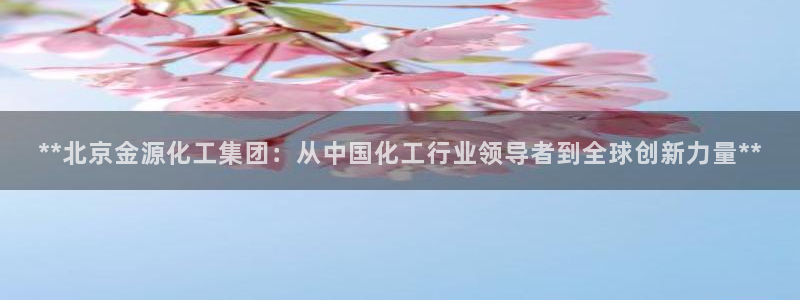球盟会最新