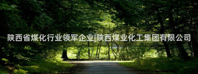 球盟会官方网址入口