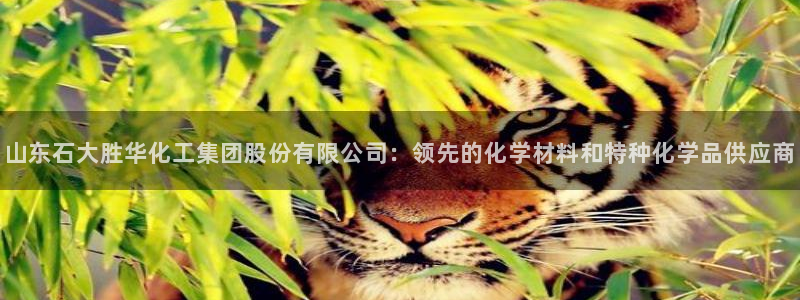 球盟会乐虎