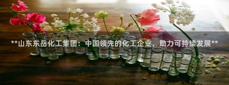 球盟会qmh登录地址