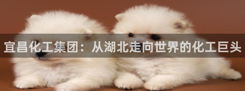 球盟会登陆中心