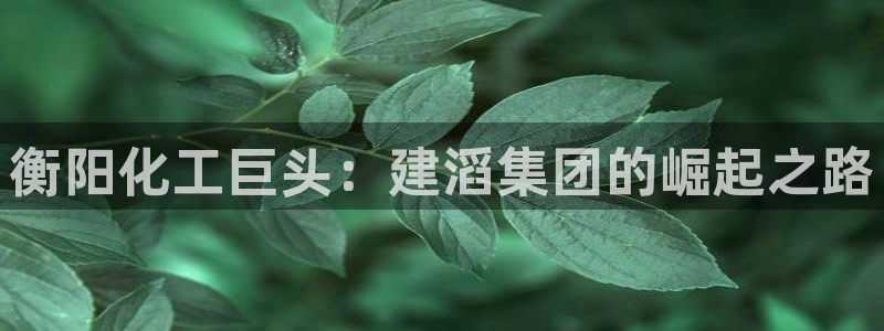 球盟会里面有打牌的嘛