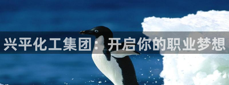 球盟会里面有打牌的嘛知乎