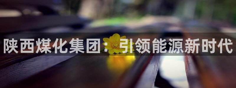 球盟会和中欧合作吗