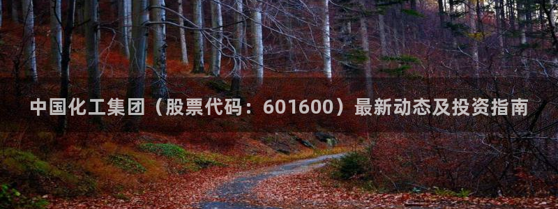 球盟会APP官网