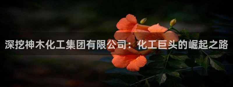 球盟会优惠码