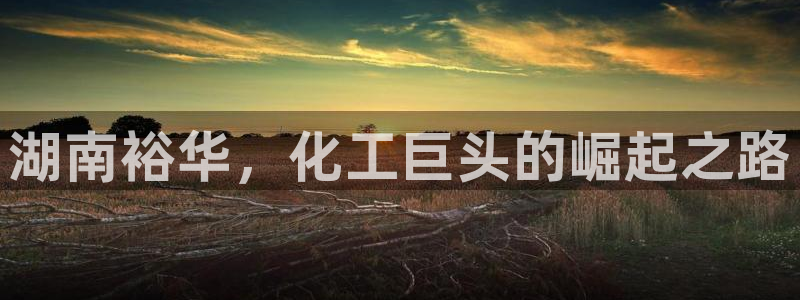 球盟会登录平台入口