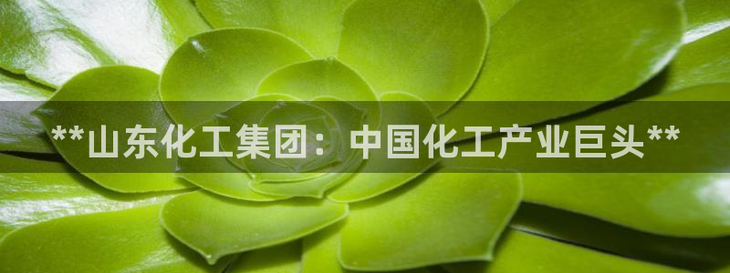 球盟会app最新地址下载安装：**山东化工集团：中国化工产业