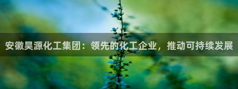球盟会头号玩家：安徽昊源化工集团：领先的化工企业，推动可持续