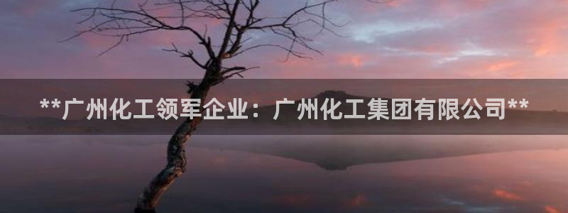 球盟会登录入口：**广州化工领军企业：广州化工集团有限公司*
