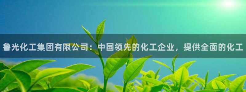 球盟会官方网入口：鲁光化工集团有限公司：中国领先的化工企业，
