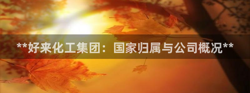 球盟会qmh网页版登录：**好来化工集团：国家归属与公司概况