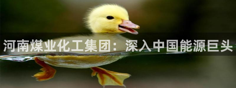 球盟会体验金球奖吗