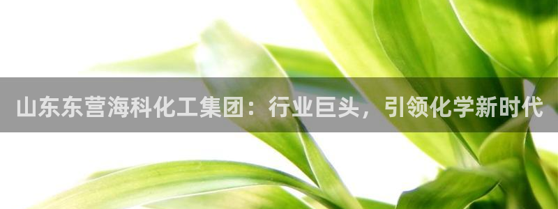 球盟会App