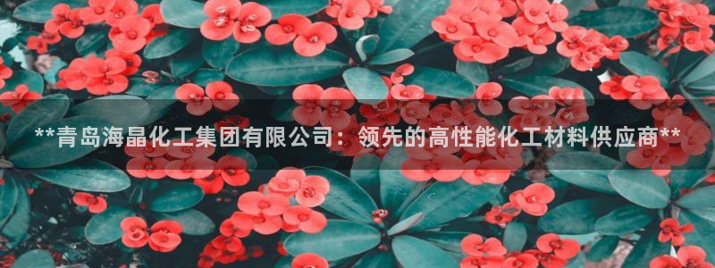 球盟会能退钱吗知乎