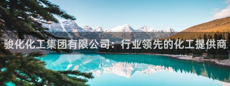球盟会邮箱：骏化化工集团有限公司：行业领先的化工提供商