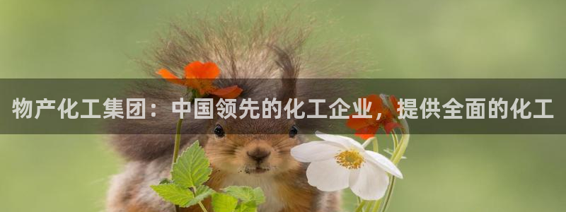 球盟会有没有黑单的：物产化工集团：中国领先的化工企业，提供全