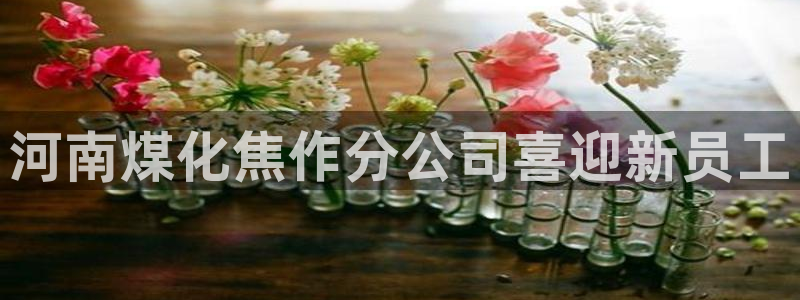 球盟会黑款吗知乎文章