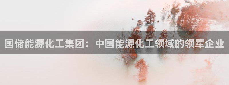 球盟会qm8597