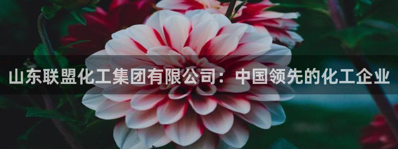 球盟会吧：山东联盟化工集团有限公司：中国领先的化工企业