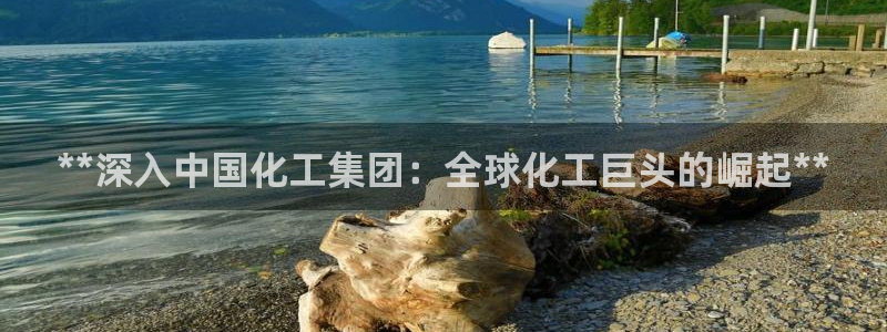 球盟会最新地址备用：**深入中国化工集团：全球化工巨头的崛起