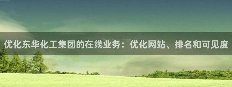 球盟会地址：优化东华化工集团的在线业务：优化网站、排名和可见