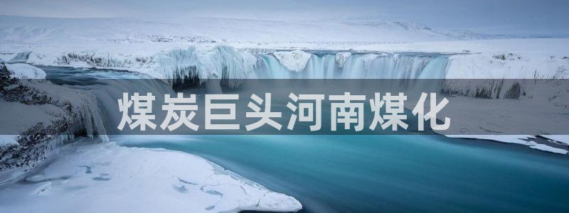 球盟会最新网：煤炭巨头河南煤化