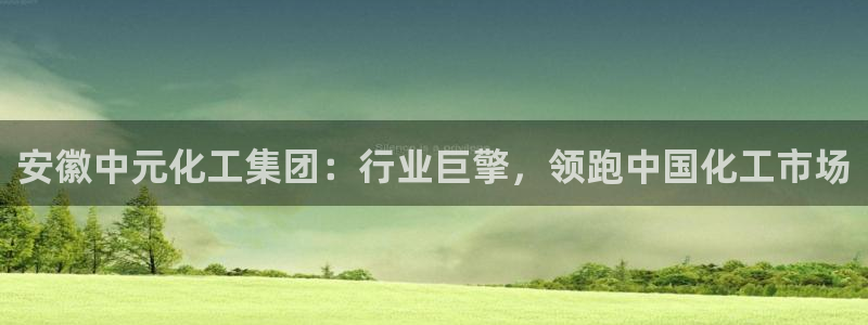 球盟会qmh官网