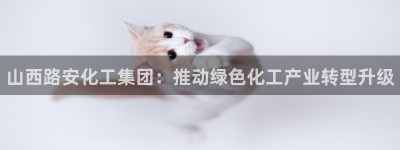 球盟会手机网页版