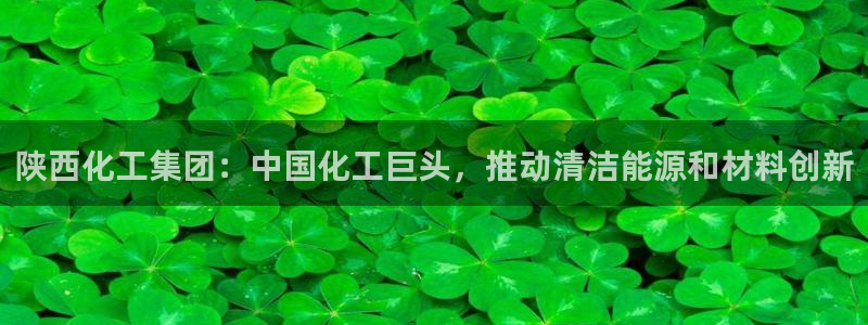 球盟会黑网：陕西化工集团：中国化工巨头，推动清洁能源和材料创
