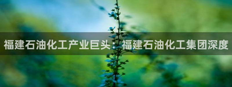 球盟会黑款吗知乎文章：福建石油化工产业巨头：福建石油化工集团