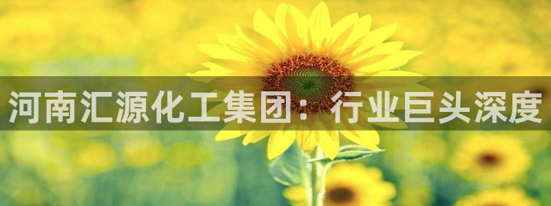 球盟会进不去吗