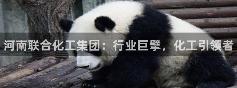 球盟会封号