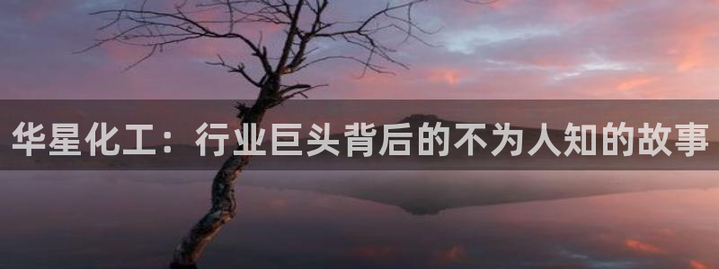 球盟会用的客服聊天是哪个软件