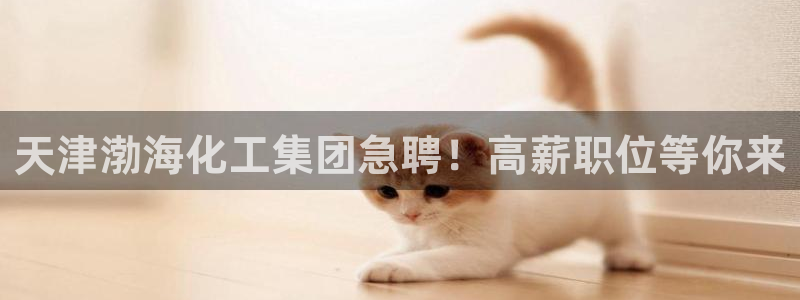 球盟会黑款吗还是白款：天津渤海化工集团急聘！高薪职位等你来