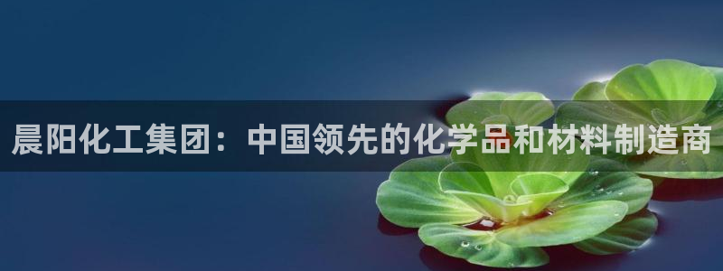 球盟会中国网页登录：晨阳化工集团：中国领先的化学品和材料制造