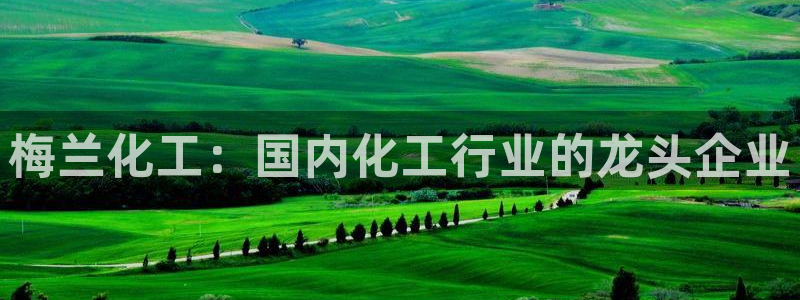 球盟会网页版登陆