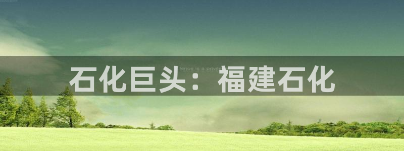 球盟会有没有黑单的活动：石化巨头：福建石化