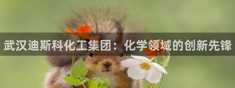 球盟会黑台子