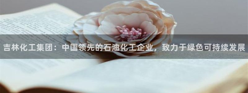 球盟会用的客服聊天是哪个软件：吉林化工集团：中国领先的石油化