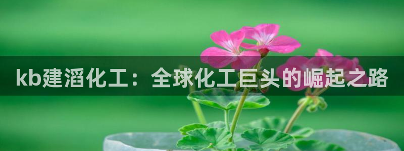 球盟会进不去球员吗