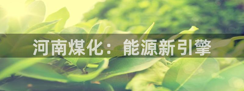 球盟会登陆：河南煤化：能源新引擎