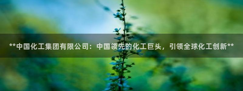 千亿球盟会乐玩：**中国化工集团有限公司：中国领先的化工巨头