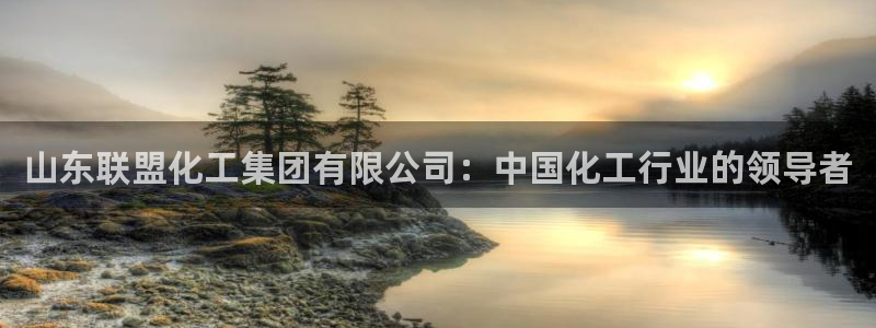 球盟会qmh：山东联盟化工集团有限公司：中国化工行业的领导者
