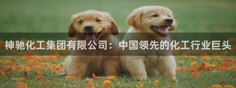 球盟会qm8597：神驰化工集团有限公司：中国领先的化工行业