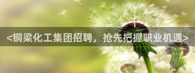 球盟会app最新地址在哪找
